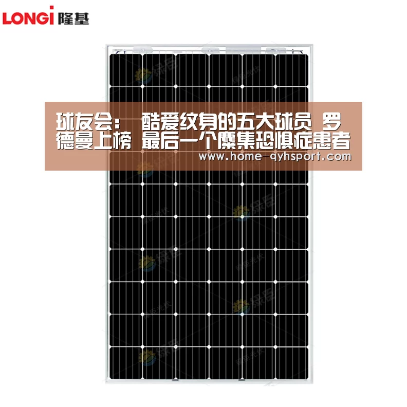 球友会：
酷爱纹身的五大球员 罗德曼上榜 最后一个麋集恐惧症